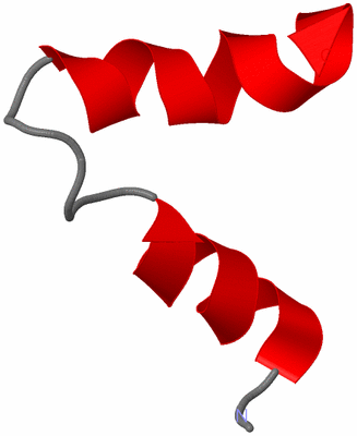 Image NMR Structure - model 1