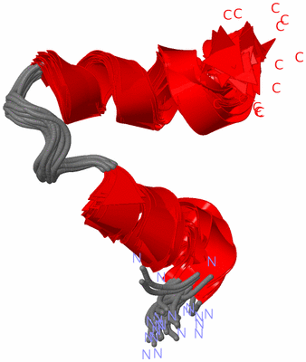 Image NMR Structure - all models