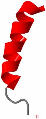 Image NMR Structure - model 1