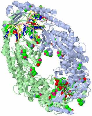 Image Asym./Biol. Unit - sites