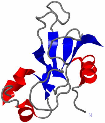 Image NMR Structure - model 1