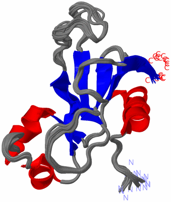 Image NMR Structure - all models