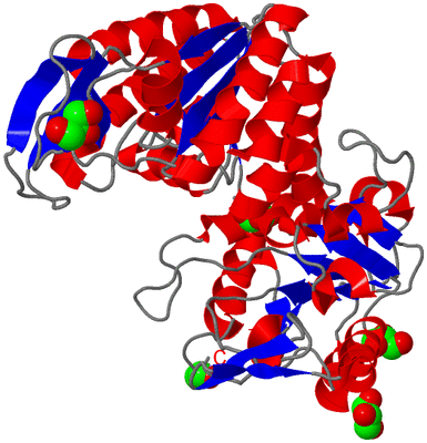 Image Asym./Biol. Unit