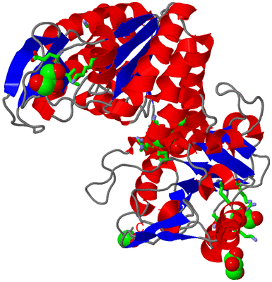 Image Asym./Biol. Unit - sites
