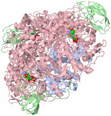 Image Biological Unit 1