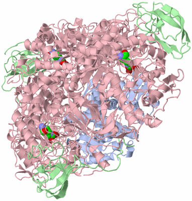 Image Biological Unit 1