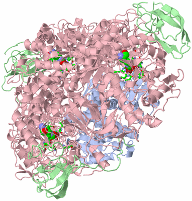 Image Biol. Unit 1 - sites