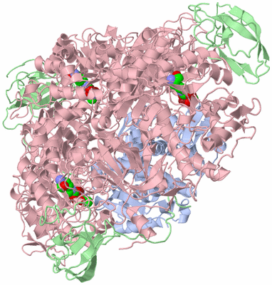 Image Biological Unit 1