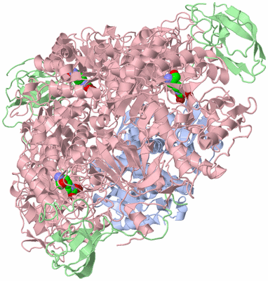 Image Biological Unit 1