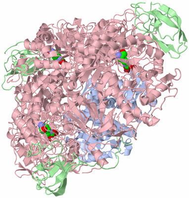 Image Biological Unit 1