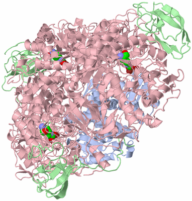 Image Biological Unit 1