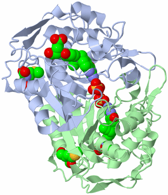 Image Asym./Biol. Unit