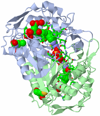 Image Asym./Biol. Unit - sites