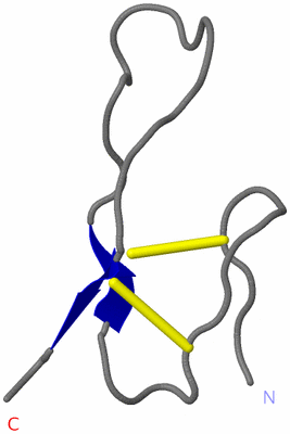 Image NMR Structure - model 1