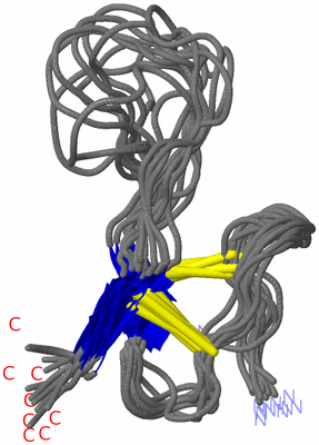 Image NMR Structure - all models