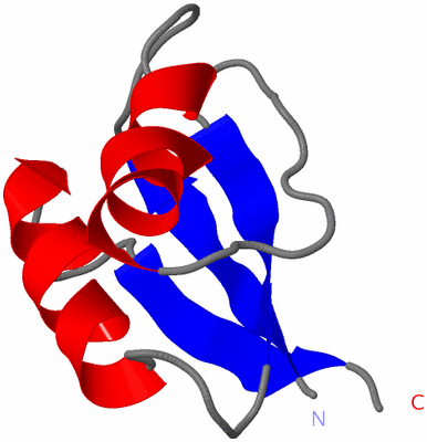 Image NMR Structure - all models