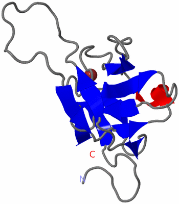 Image NMR Structure - model 1