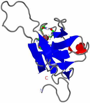 Image NMR Structure - model 1, sites