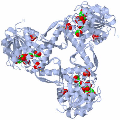 Image Biological Unit 1