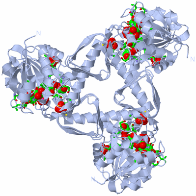 Image Biol. Unit 1 - sites