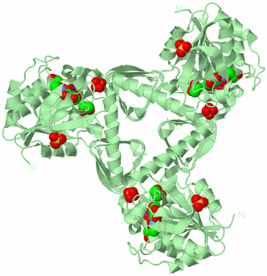 Image Biological Unit 2