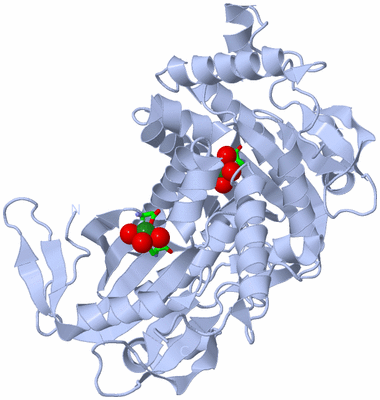 Image Biol. Unit 1 - sites