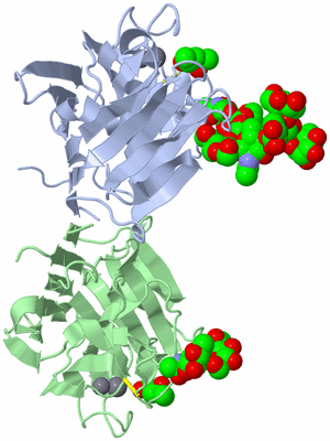 Image Asym./Biol. Unit