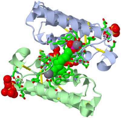 Image Asym./Biol. Unit - sites