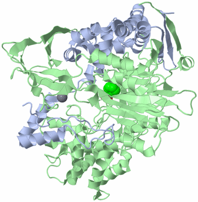 Image Asym./Biol. Unit