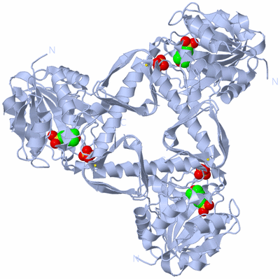 Image Biological Unit 1