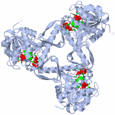 Image Biol. Unit 1 - sites