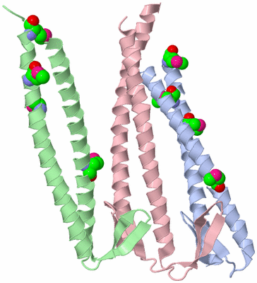Image Asymmetric Unit