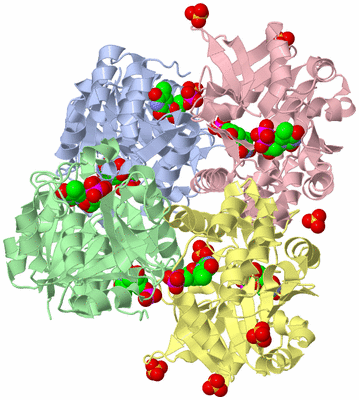 Image Biological Unit 1