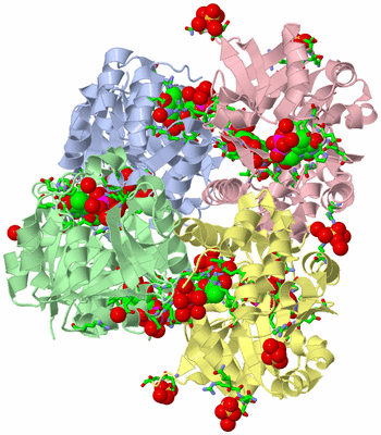 Image Biol. Unit 1 - sites