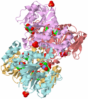 Image Biological Unit 2