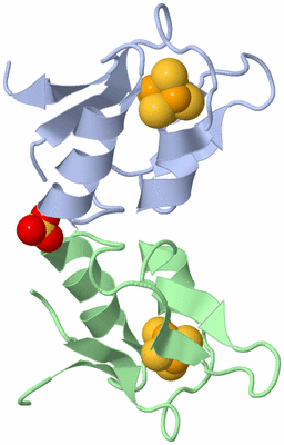 Image Asym./Biol. Unit