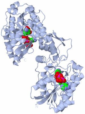 Image Biological Unit 1