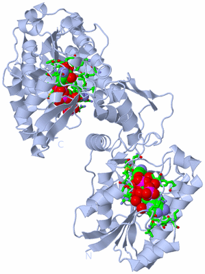 Image Biol. Unit 1 - sites