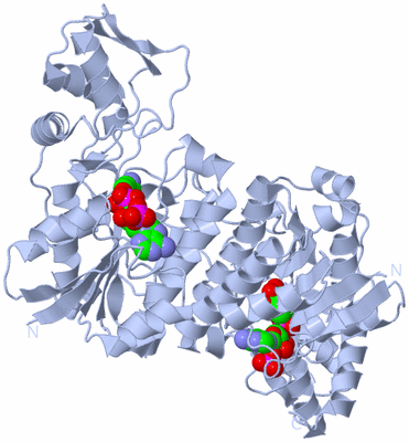 Image Biological Unit 2