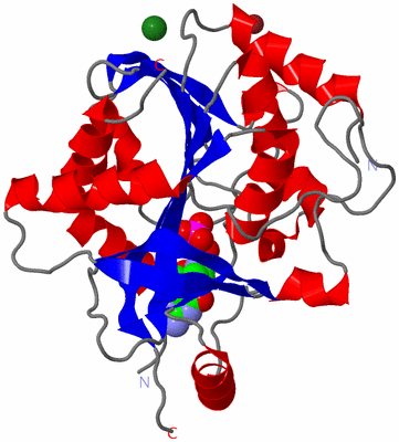 Image Asymmetric Unit
