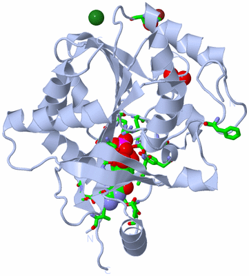 Image Biol. Unit 1 - sites