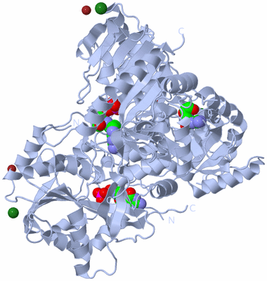 Image Biological Unit 2