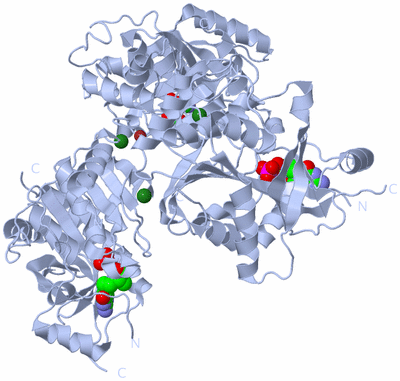 Image Biological Unit 3
