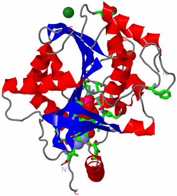 Image Asym. Unit - sites