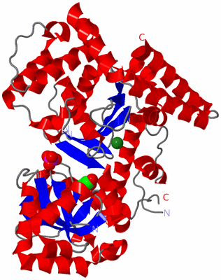 Image Asym./Biol. Unit