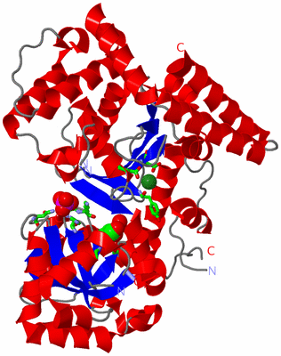 Image Asym./Biol. Unit - sites