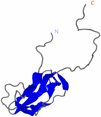 Image NMR Structure - model 1
