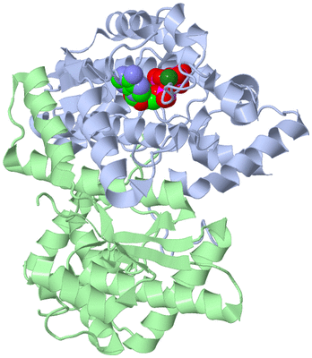 Image Asym./Biol. Unit