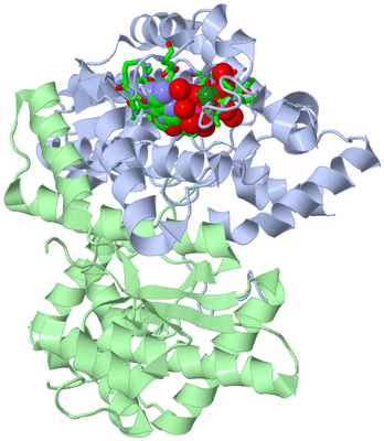 Image Asym./Biol. Unit - sites