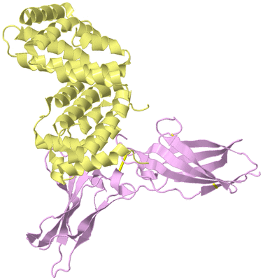 Image Biological Unit 2